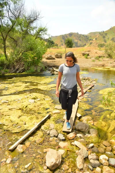 DSC_6540 (Large).JPG